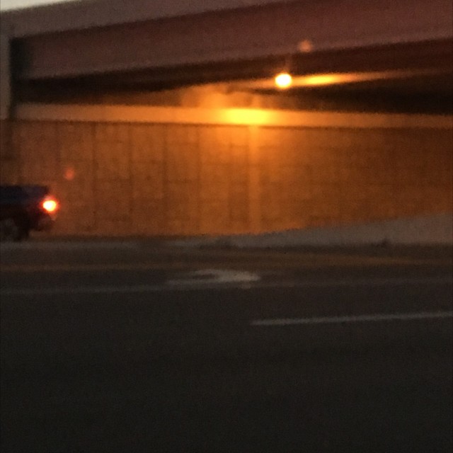 Lil spot 