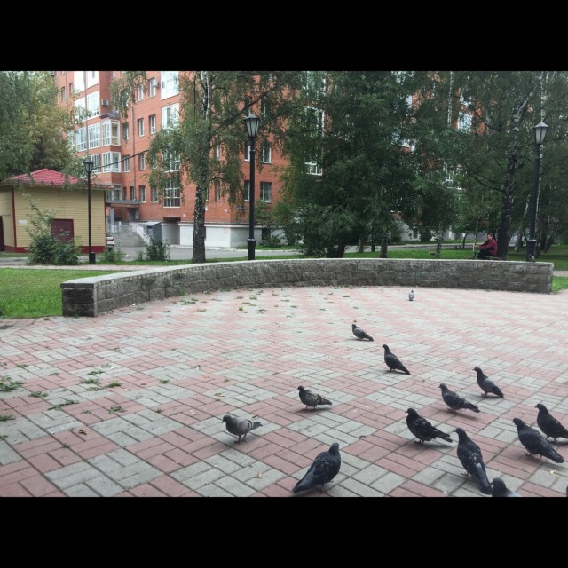 Dzerzhinskogo 29 circle ledge