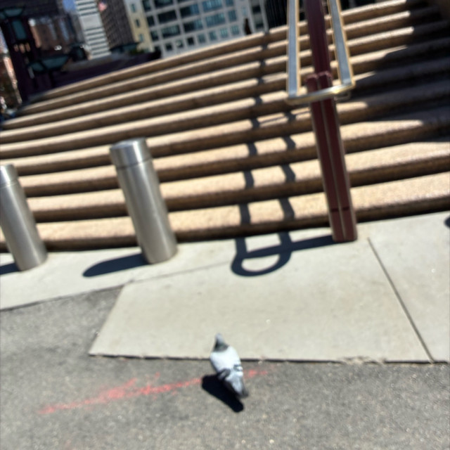 Rail
