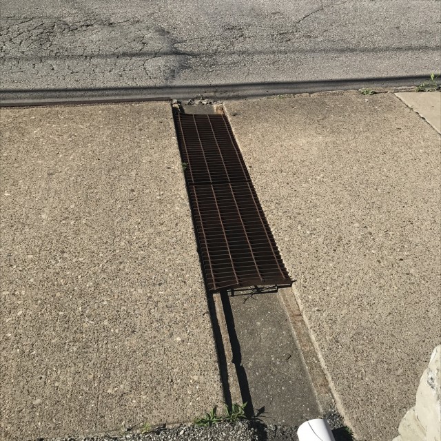 The drain