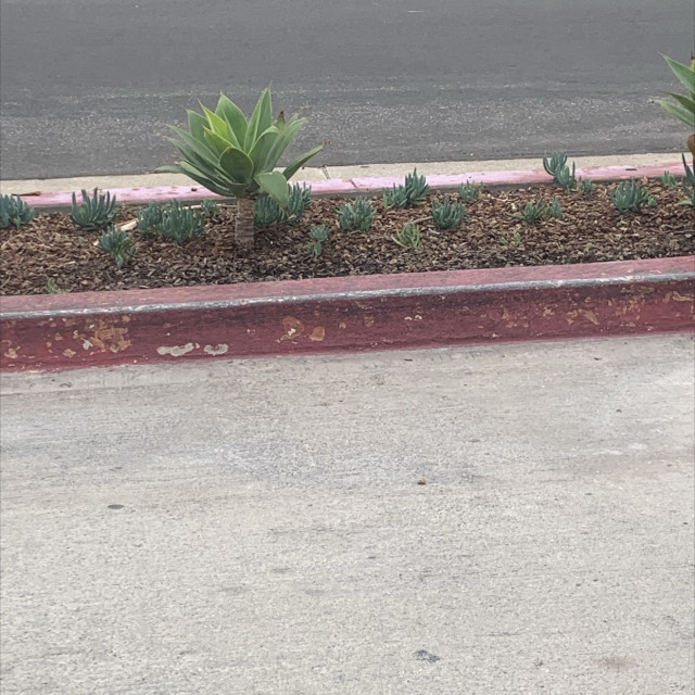 Curb
