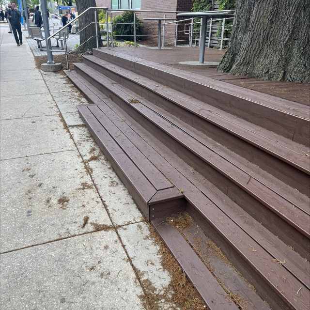 Tyler steps