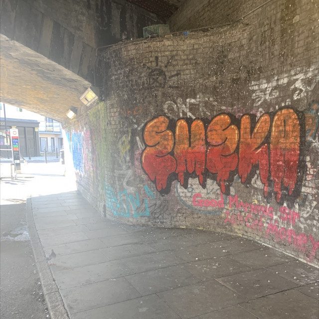 Pigeon shit 