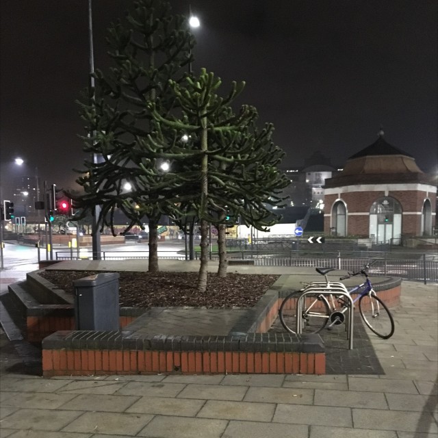 Spot #8357
