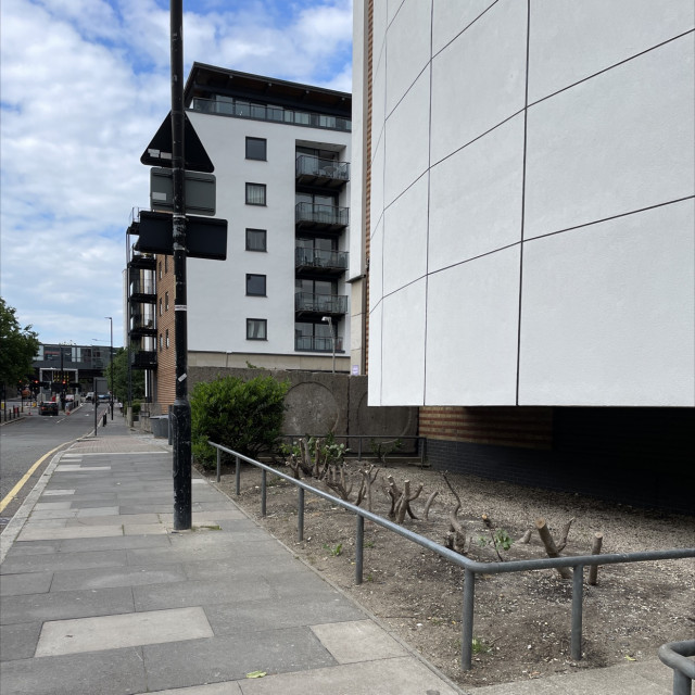 Spot #31536