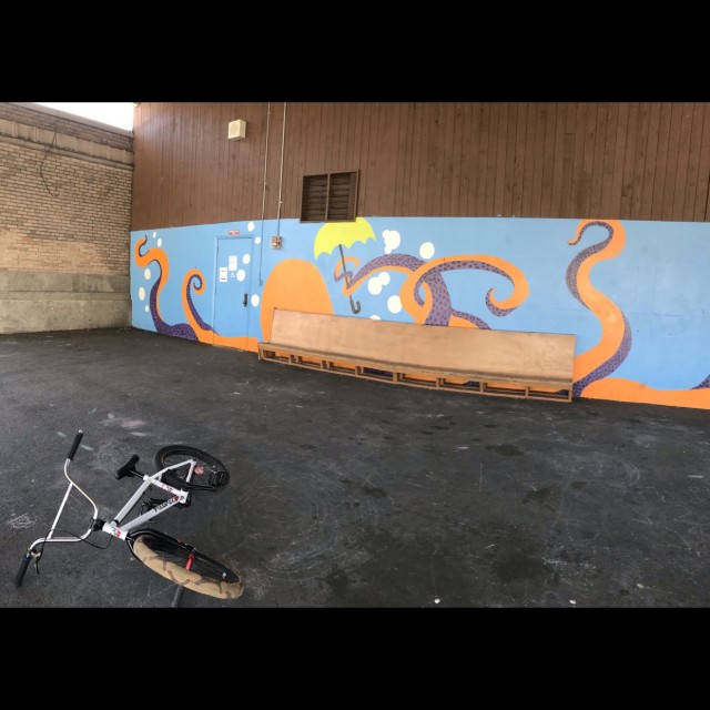 Bush school bench