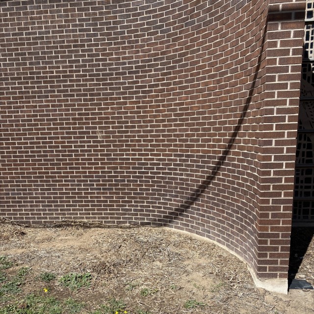 Curvy boi wall 