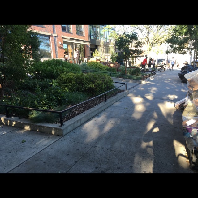 Spot #7597