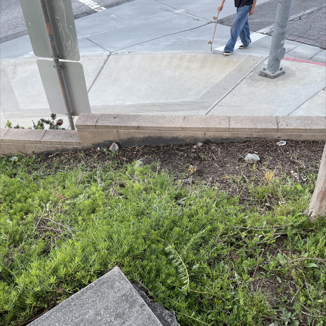 Skate or die 