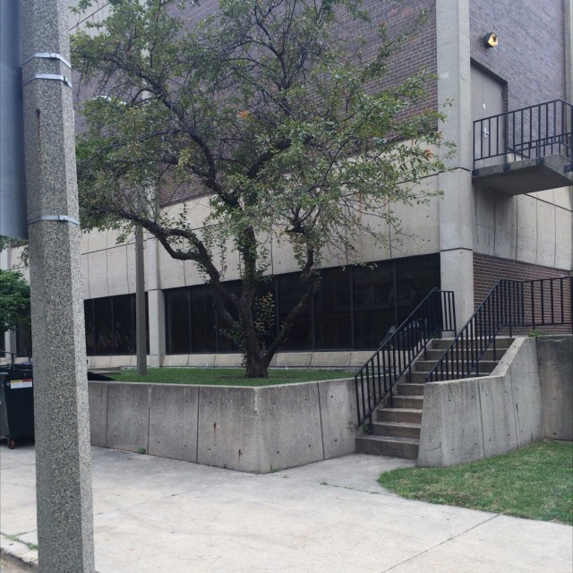 Gill Park