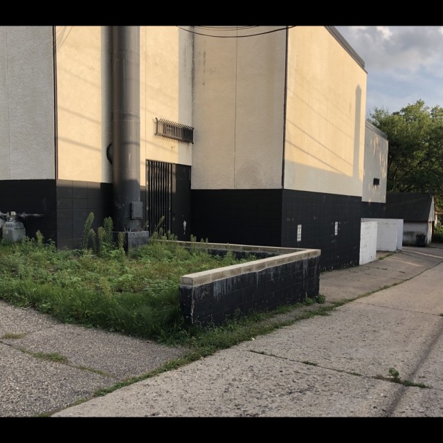Spot #14475