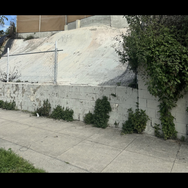 Spot #40225