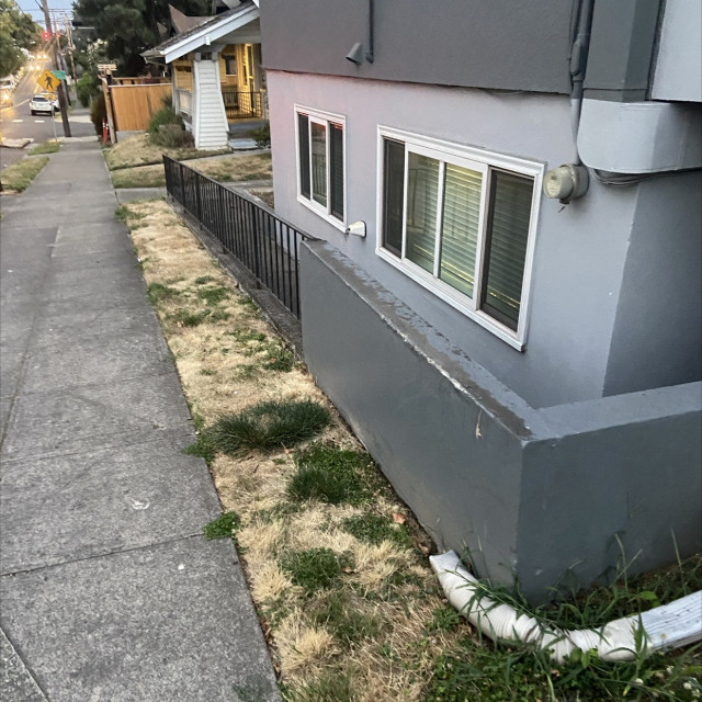 Spot #38615