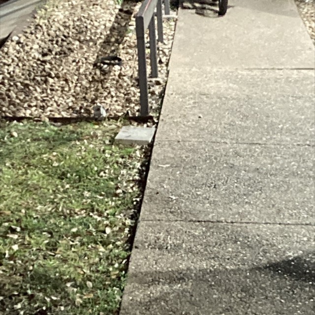 Spot #23154