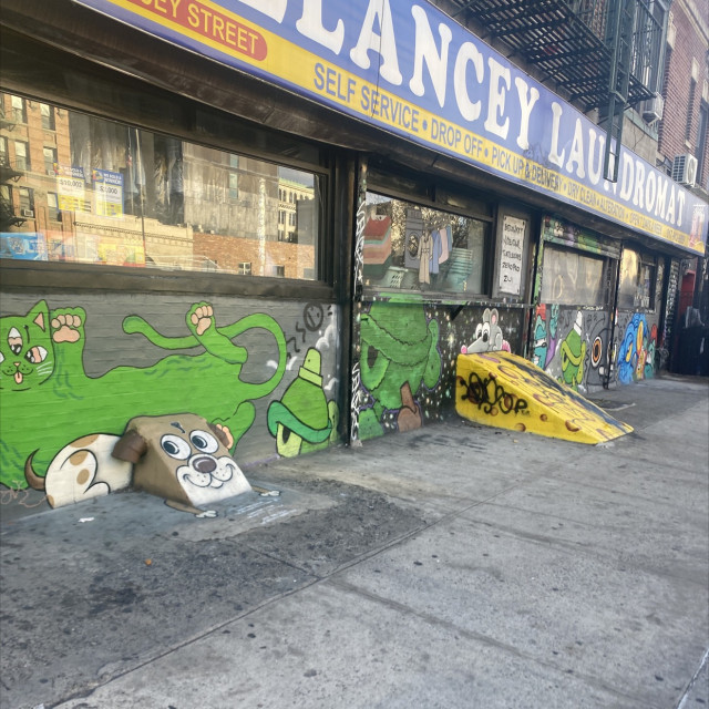 Delancey laundromat 