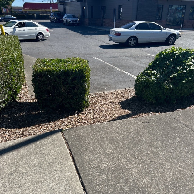 Mickey D’s gap