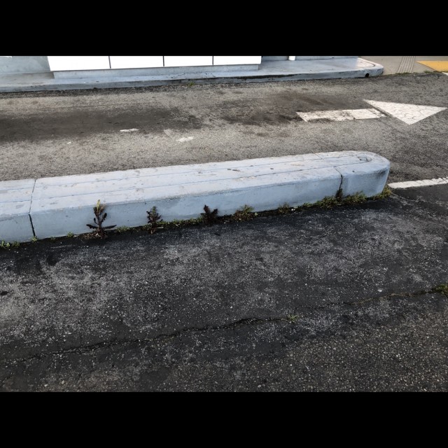 Some ledges