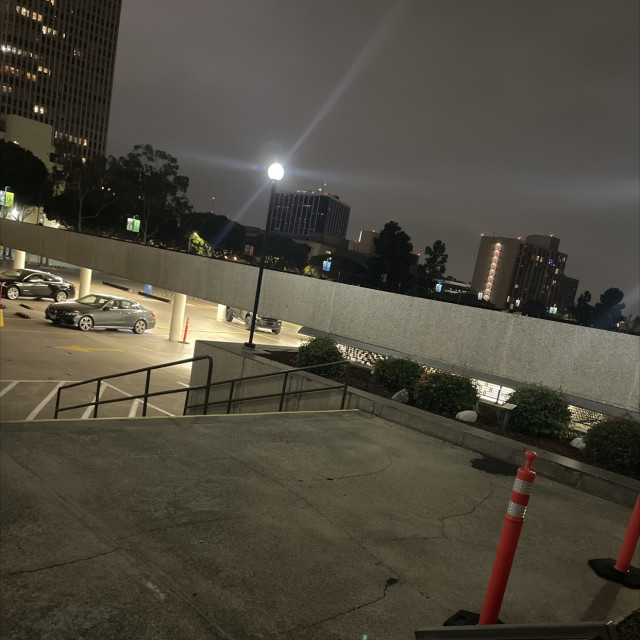 Spot #33298