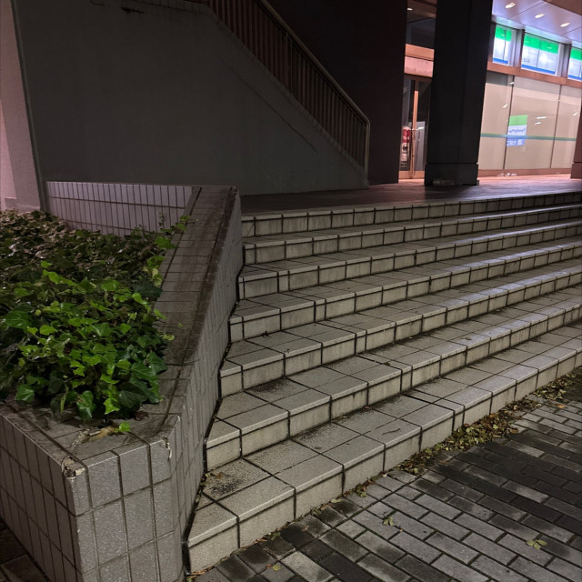 ダウンレッジ付きステア