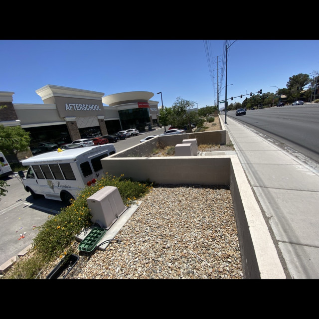 Spot #41919