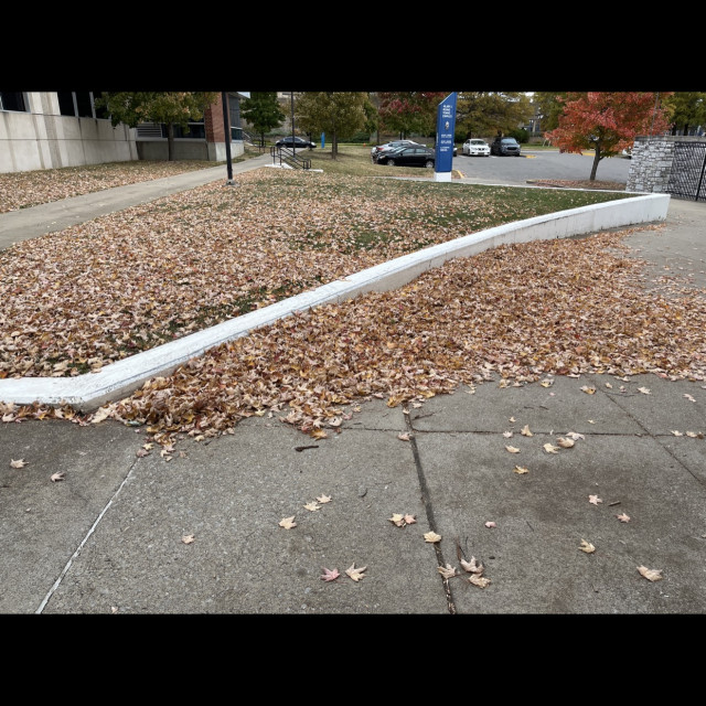 Tennis ledge 