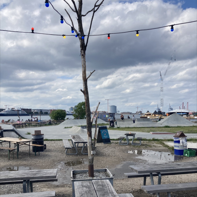 Reffen park
