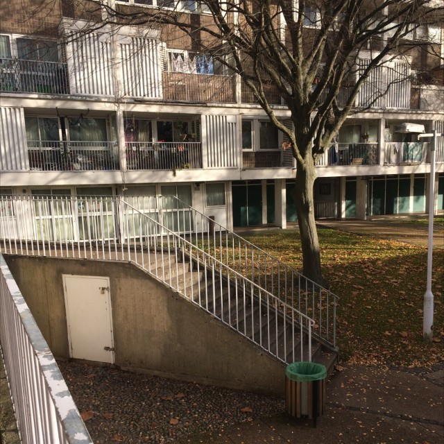 Spot #8213