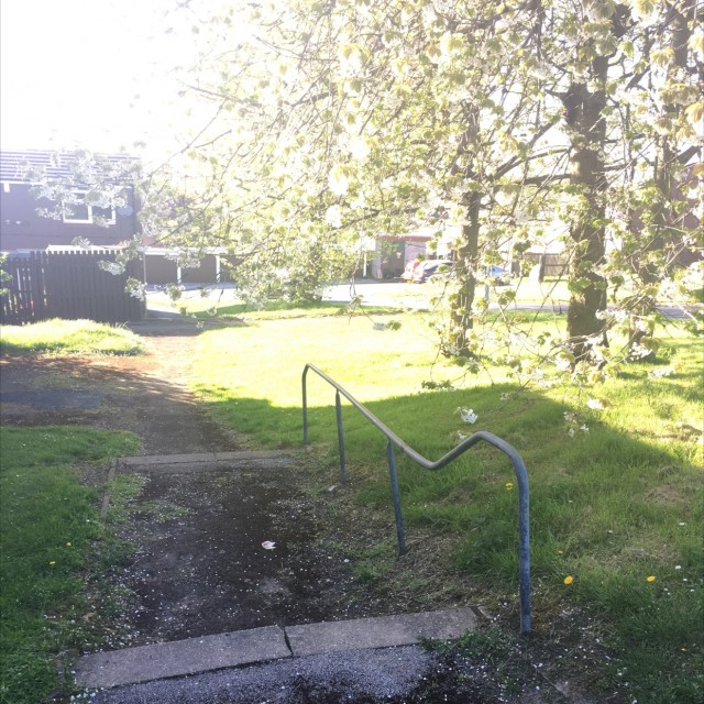 Spot #10401
