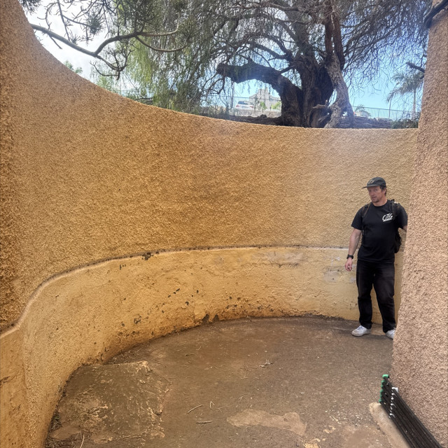 Curve wall with kicker wtf