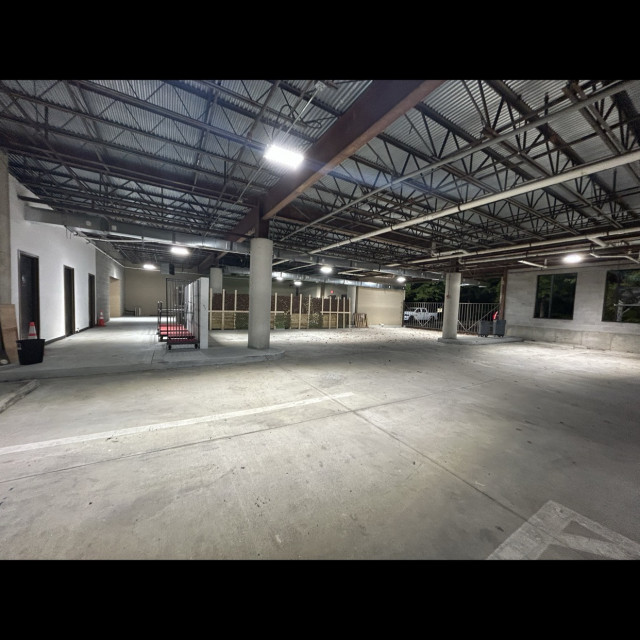 Spot.1