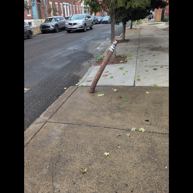 Spot #53898