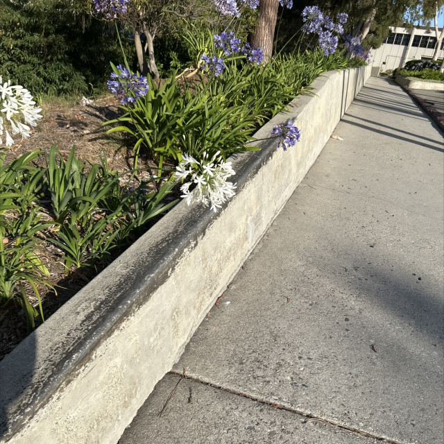 Down ledge