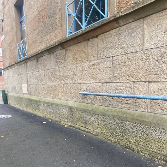 Spot #20223