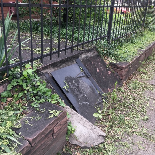 Cellar door for ants