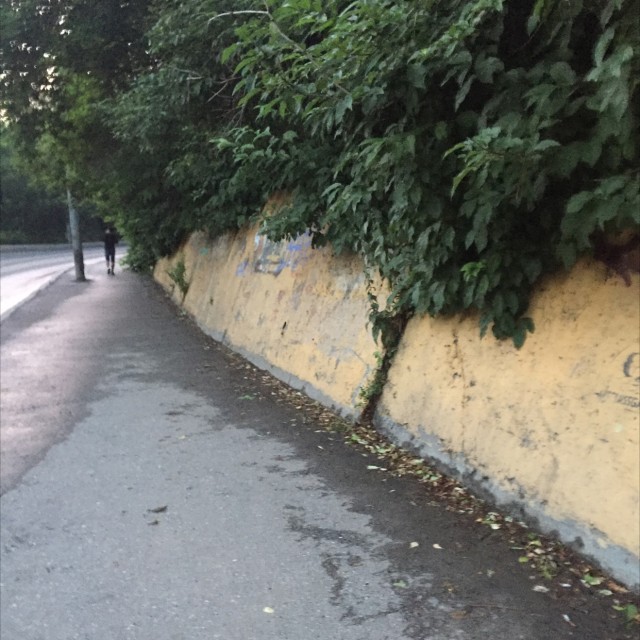 Wallride na 1905