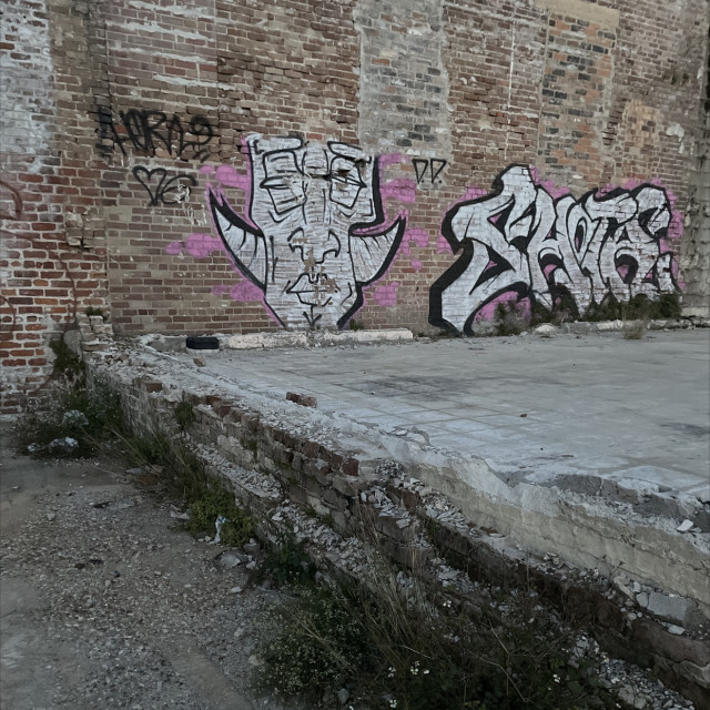 Spot #29620
