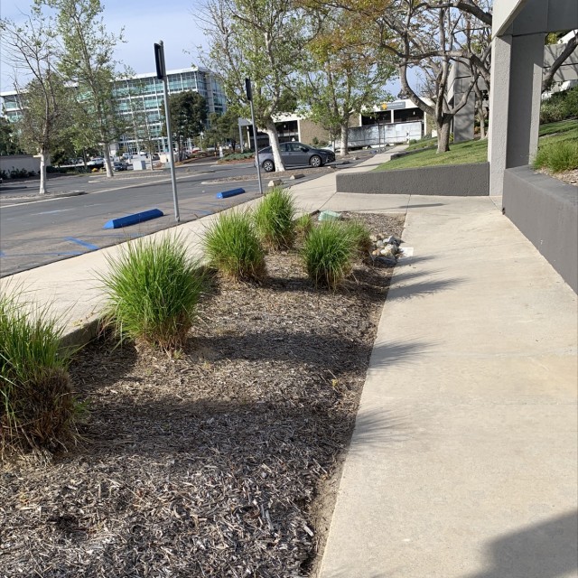 Grass gap