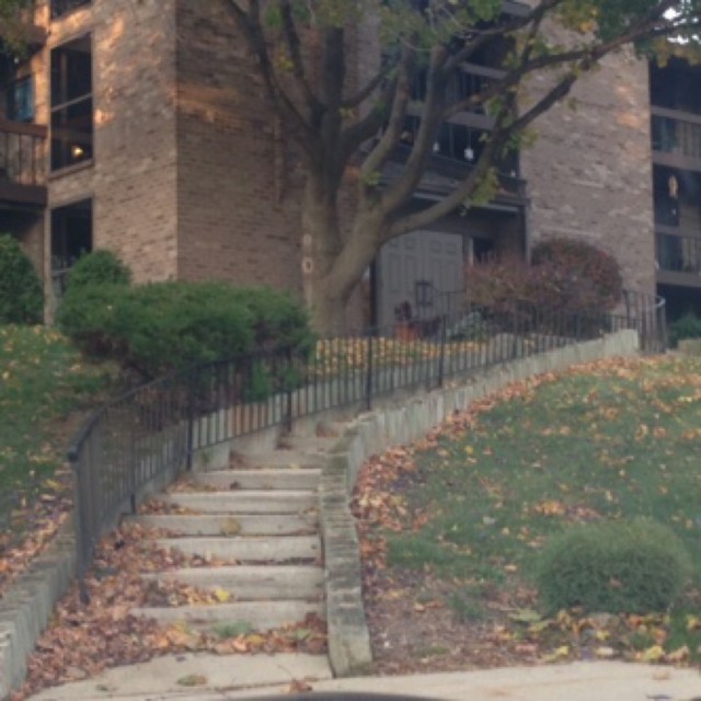 Spot #4862