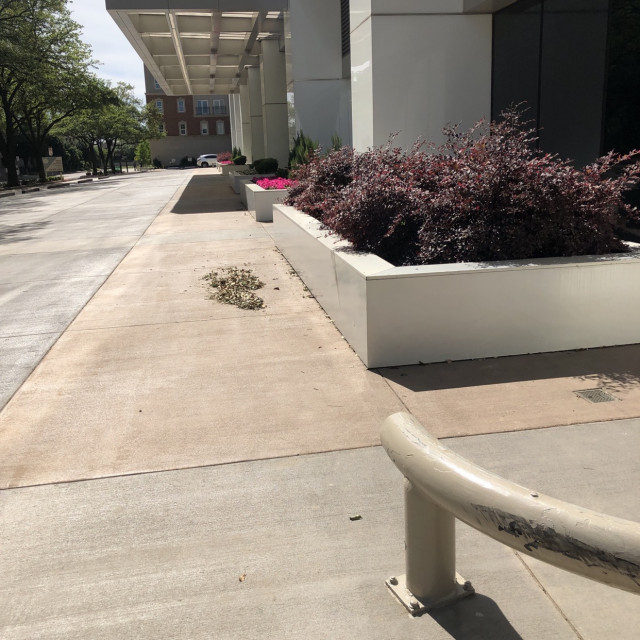 Spot #43875