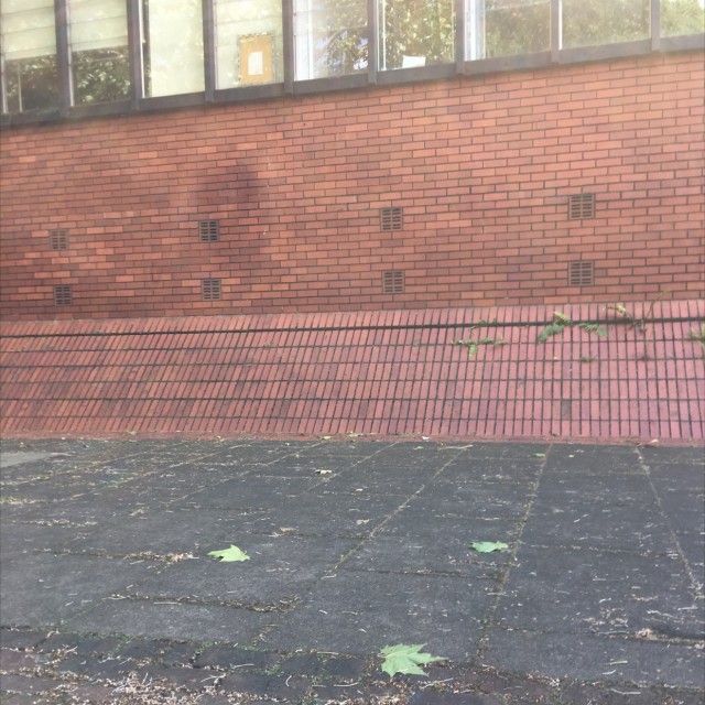 Spot #13096