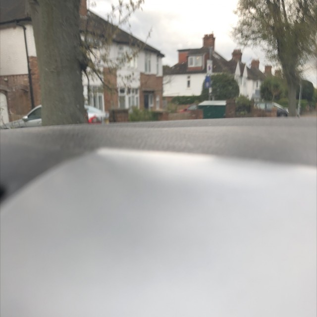 Spot #12524