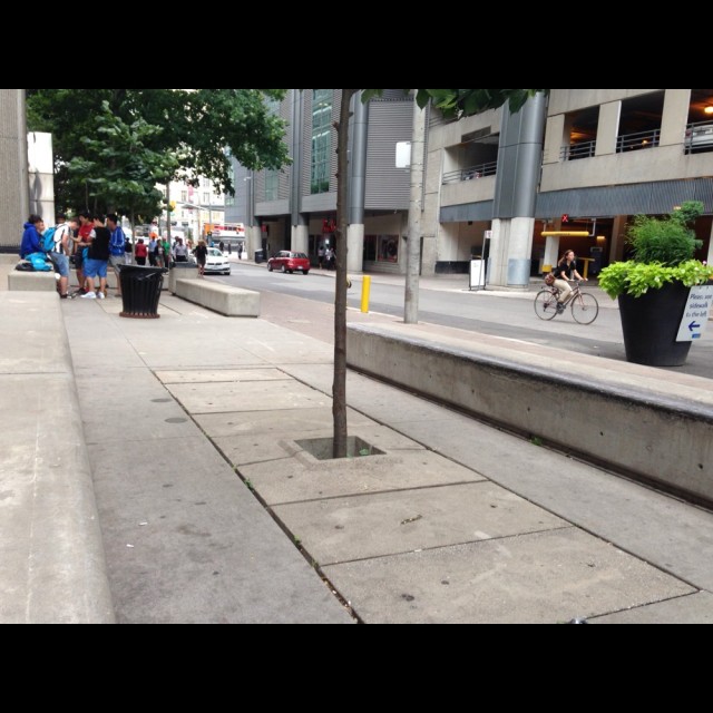 Ryerson university