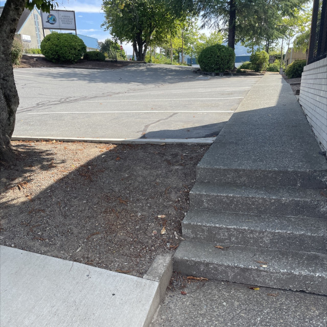 Spot #43011