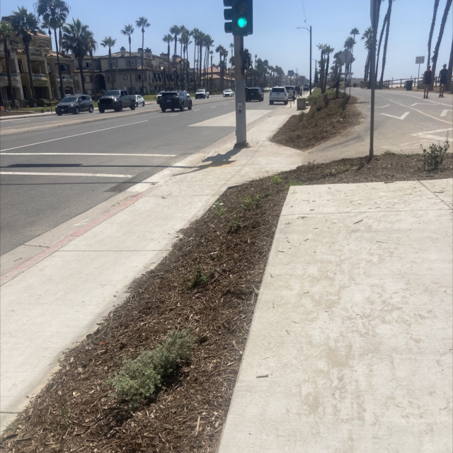 New beach gap