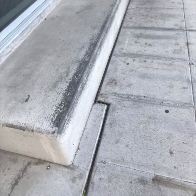 Trader Joe’s ledge 