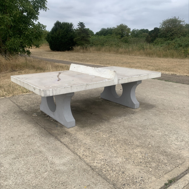 Ping Pong table 