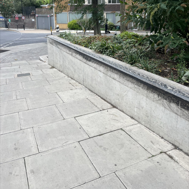 Spot #49101