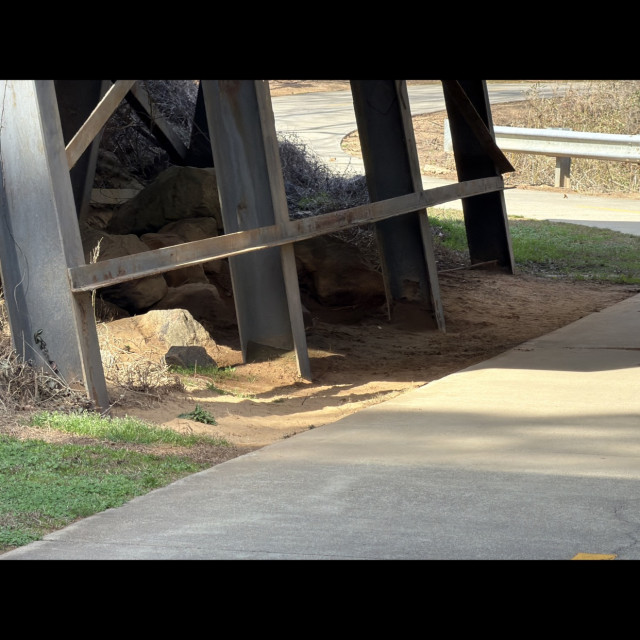 Spot #51716