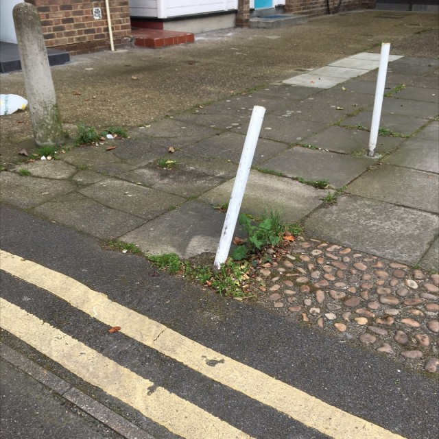 Spot #8586