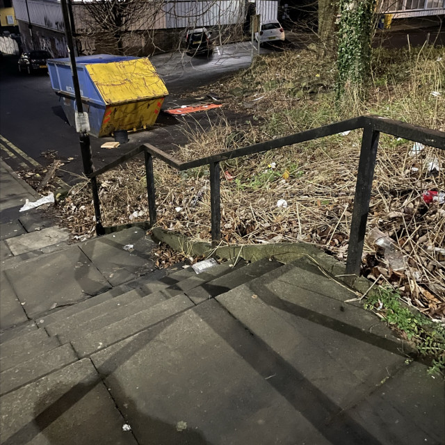 Rail and ledge